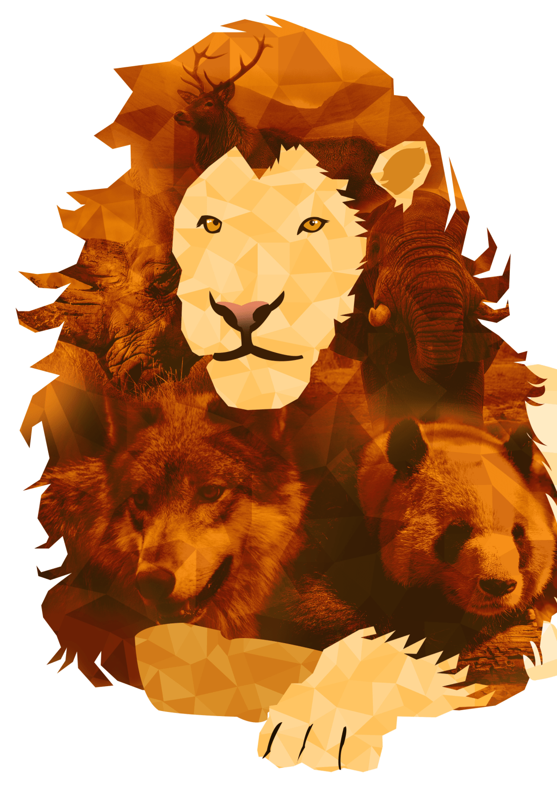 lion poster