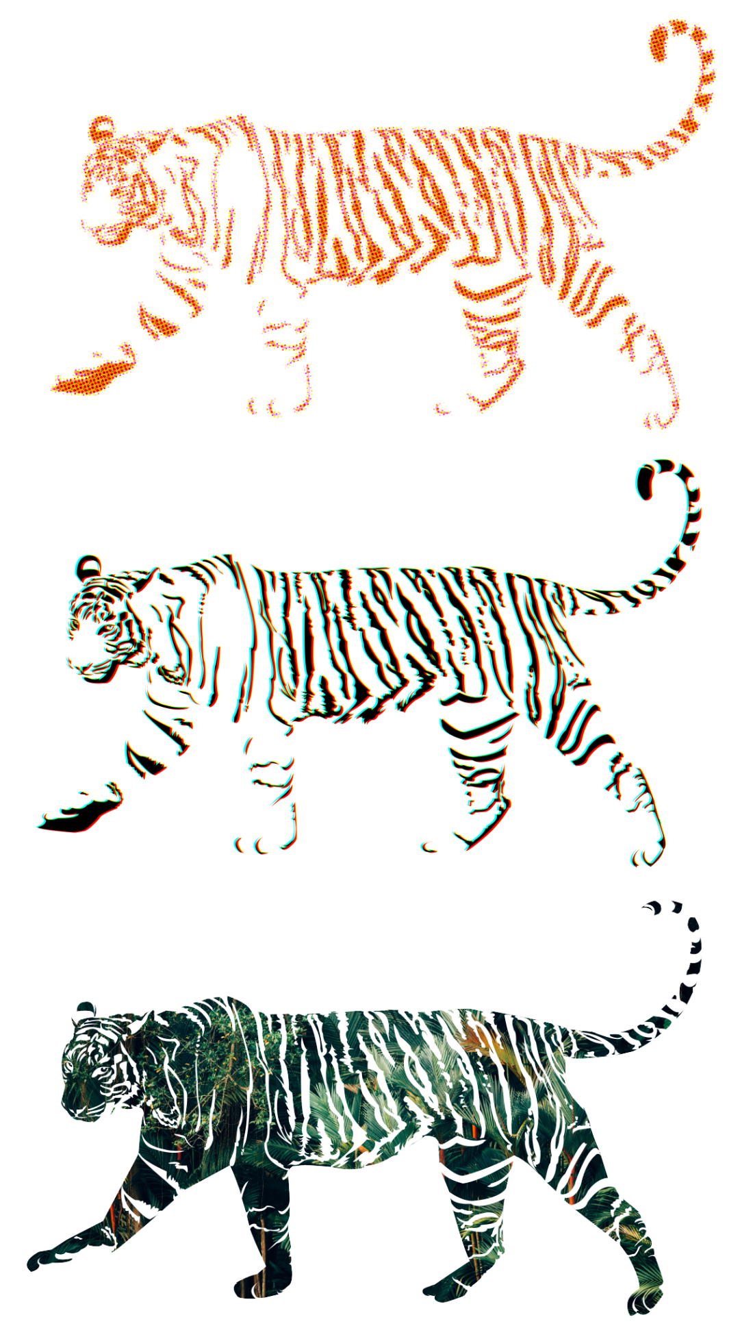 tigers